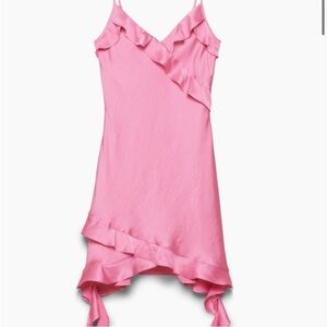 NWT Aritzia botanical pink dress